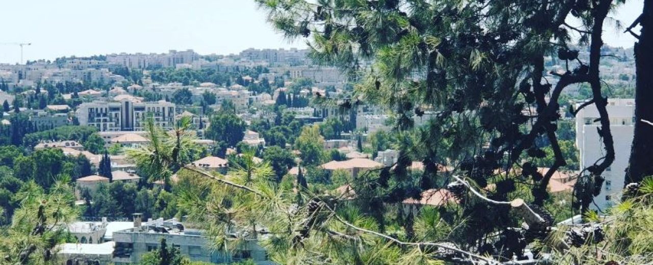 Apartment for Sale in Jerusalem in Rehavia Border Talbiya