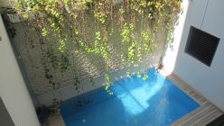 Garden Apartment in Herzliya Pituach 4
