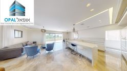 Mini Penthouse for Sale in Rehavia-Shaarei Chesed 1