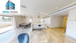 Mini Penthouse for Sale in Rehavia-Shaarei Chesed 6