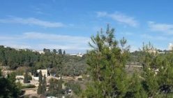 Penthouse for Rent in Jerusalem in Rehavia 5