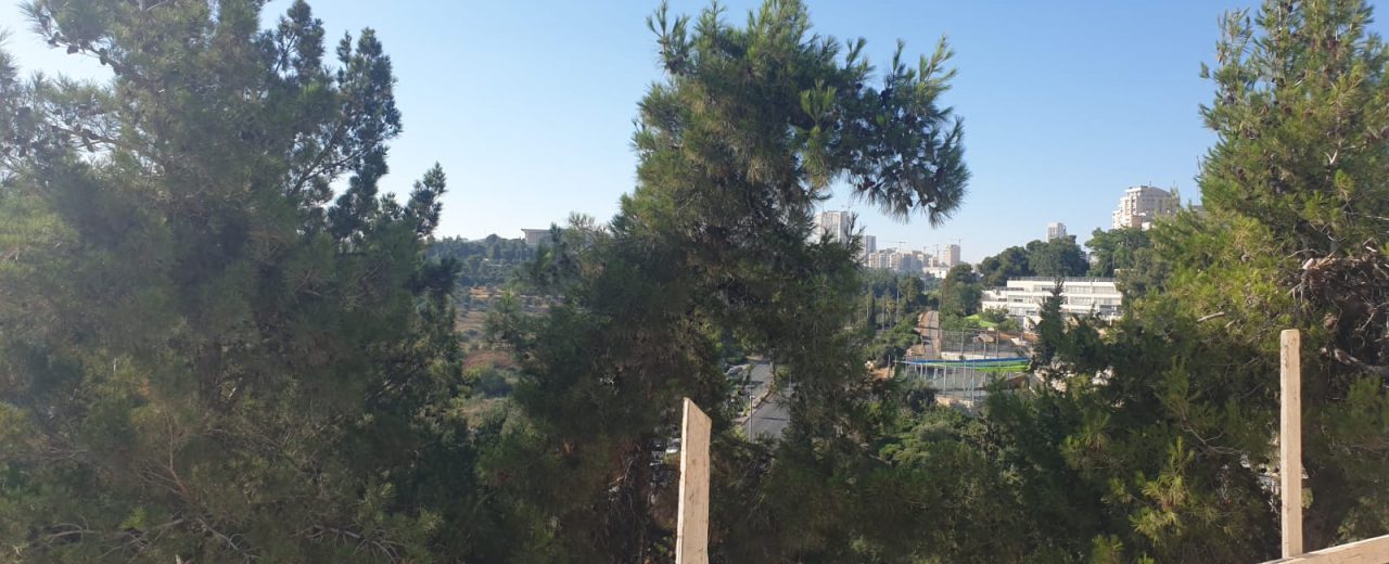 Penthouse for Sale in Jerusalem on the Border of Rehavia-Kiryat Shmuel 2